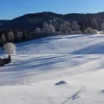 Domek alpejski Hinterbreiteneben Lunz am See