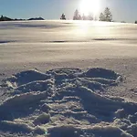 Domek alpejski Hinterbreiteneben