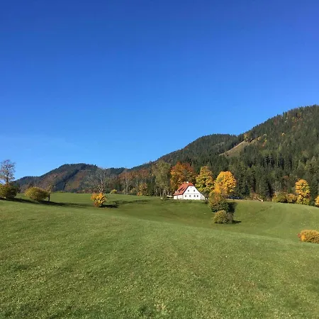 Hinterbreiteneben Chalet Lunz am See