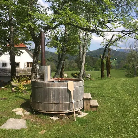 Chalet Hinterbreiteneben Lunz am See