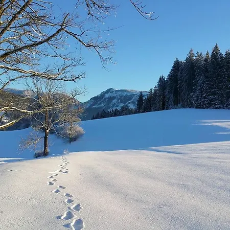 Hinterbreiteneben Chalet