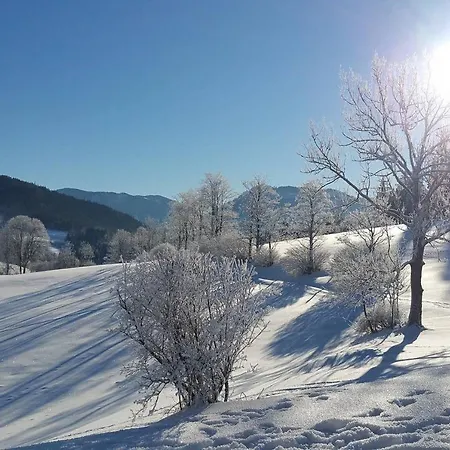 Hinterbreiteneben * Lunz am See