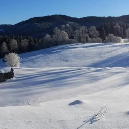 Chalet Hinterbreiteneben Lunz am See