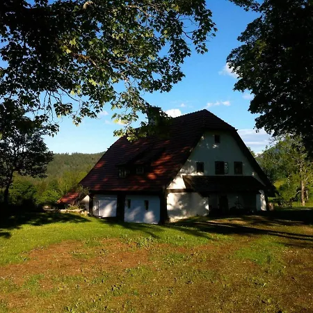 Chalet Hinterbreiteneben