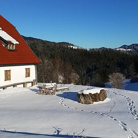 Hinterbreiteneben Chalet Lunz am See