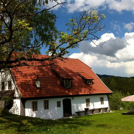 Hinterbreiteneben Chalet Lunz am See