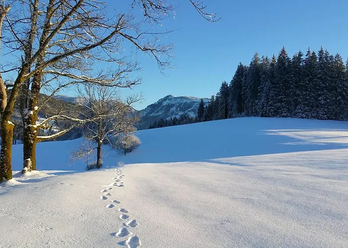 Hinterbreiteneben Chalet