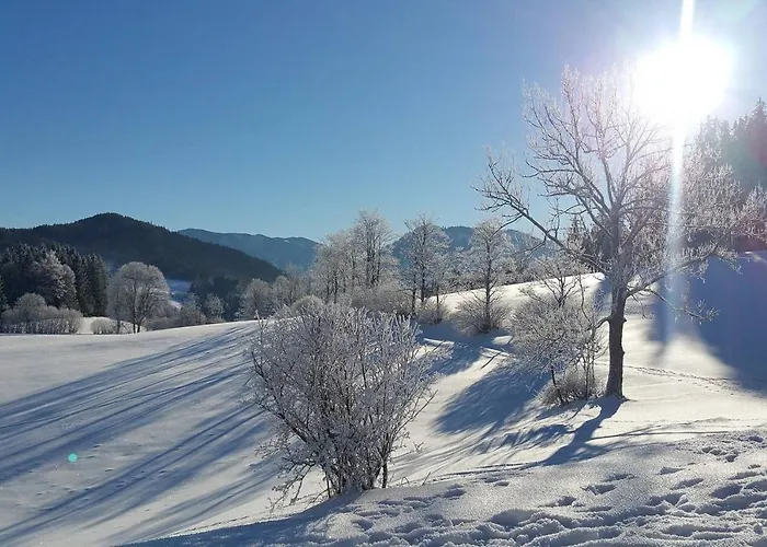 Hinterbreiteneben * Lunz am See