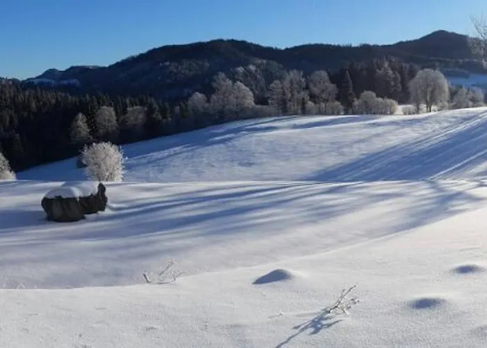 Domek alpejski Hinterbreiteneben Lunz am See