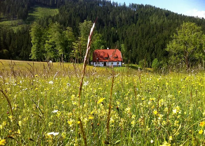 Hinterbreiteneben Chalet *