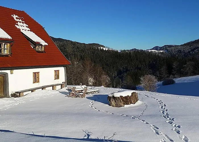 Hinterbreiteneben Chalet Lunz am See