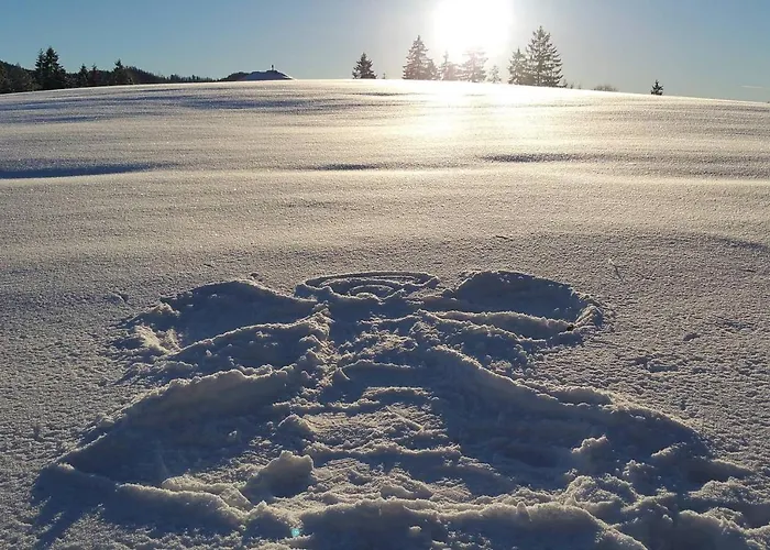 木屋 Hinterbreiteneben
