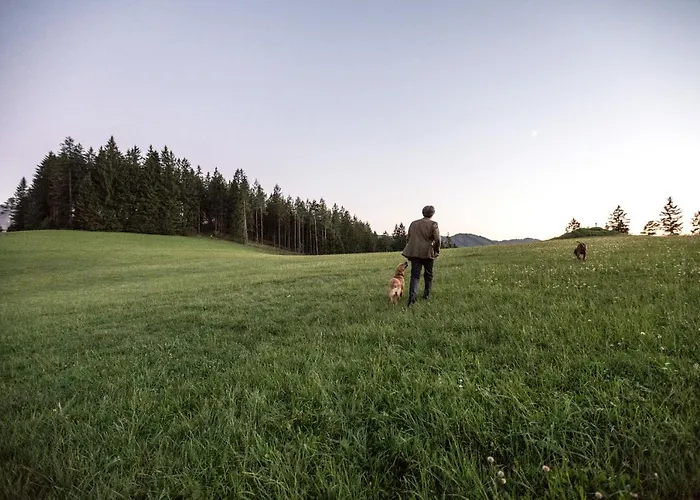 Hinterbreiteneben Chalet Lunz am See