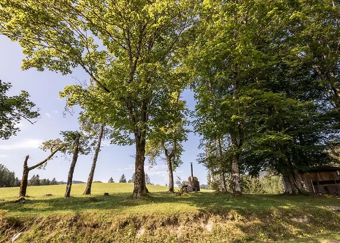 Domek alpejski Hinterbreiteneben *